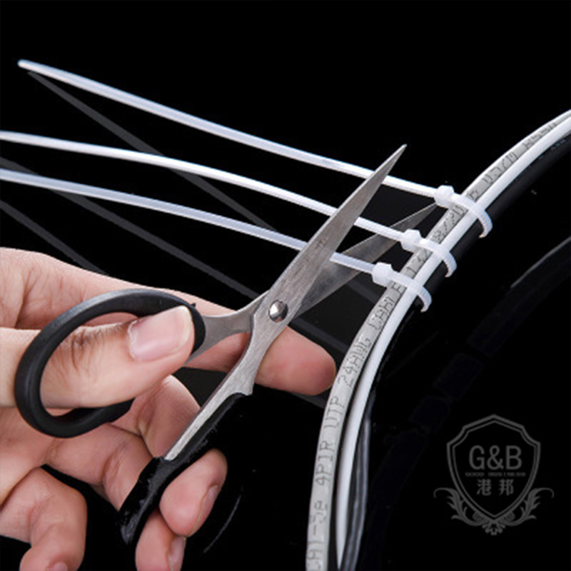Stainless steel zip ties